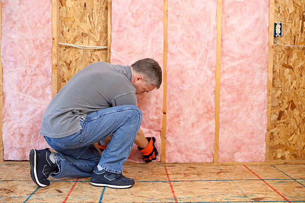 Professional Insulation Contractor in Aldan, PA