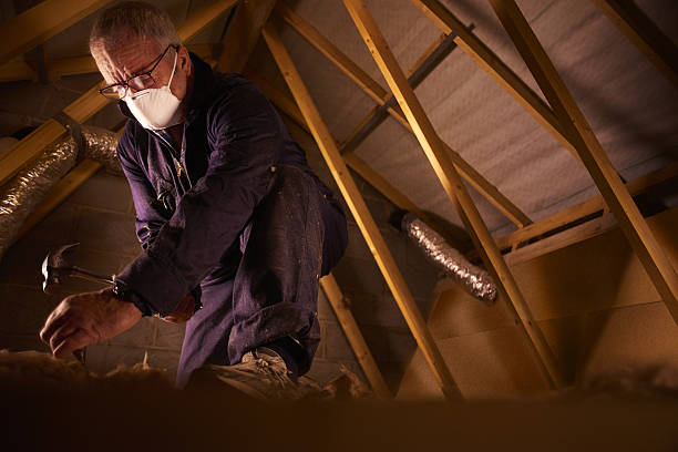 Best Insulation Maintenance and Repair in Aldan, PA